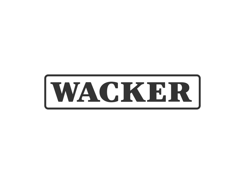 Wacker Silicone Paste P 90ml Tube